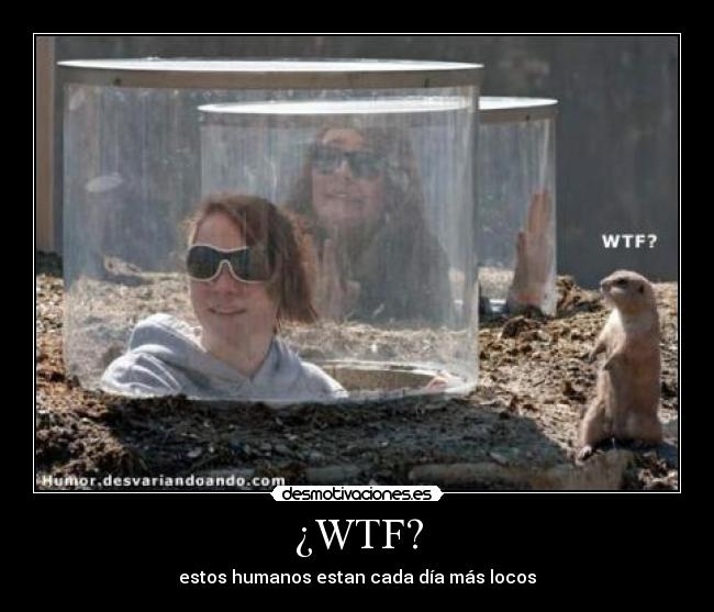 ¿WTF? - 