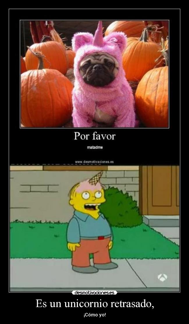 Es un unicornio retrasado, -