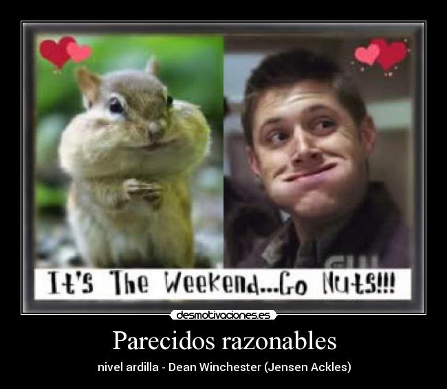 Parecidos razonables - 