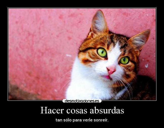 Hacer cosas absurdas - 