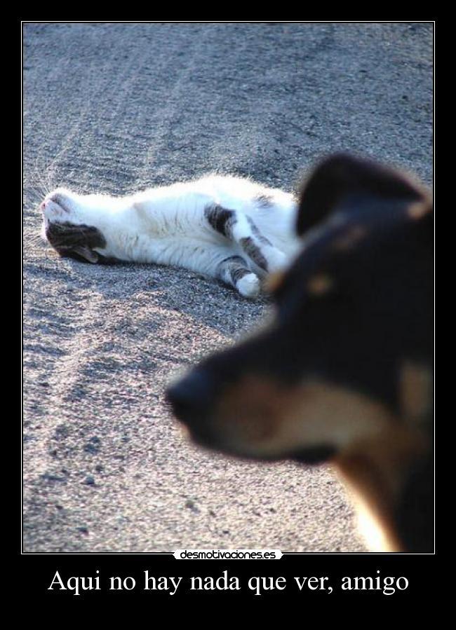 carteles que cono importa que pongo las etiquetas que flipo con gente joder desmotivaciones