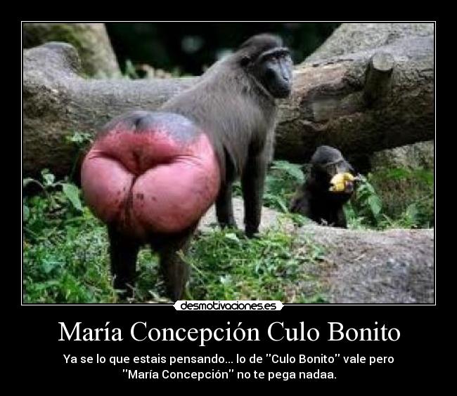 María Concepción Culo Bonito - 