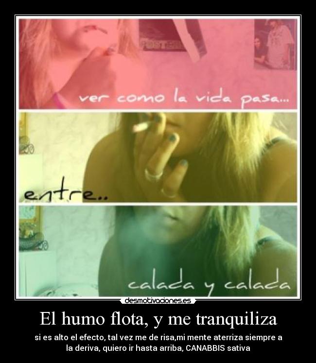 carteles alba desmotivaciones