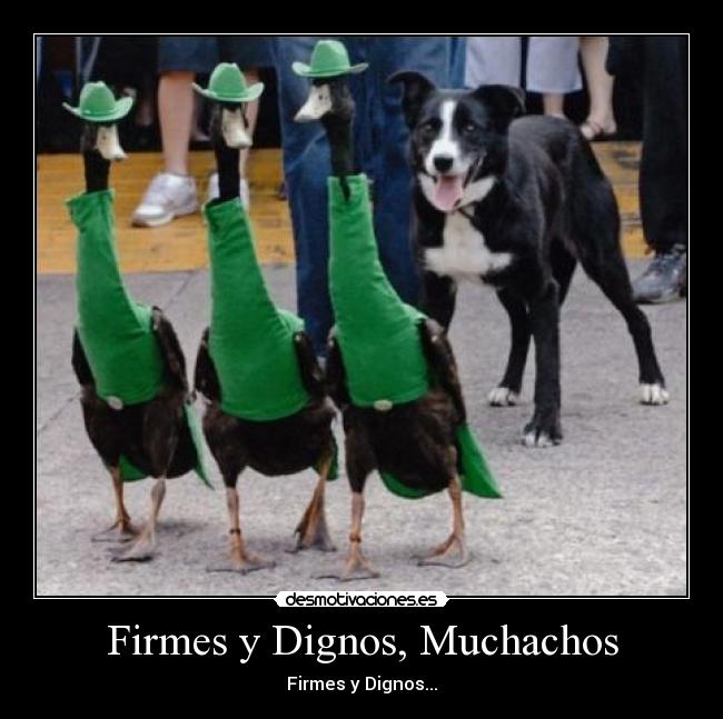 Firmes y Dignos, Muchachos - Firmes y Dignos...