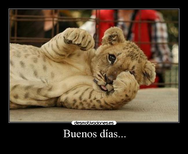Buenos días... - 