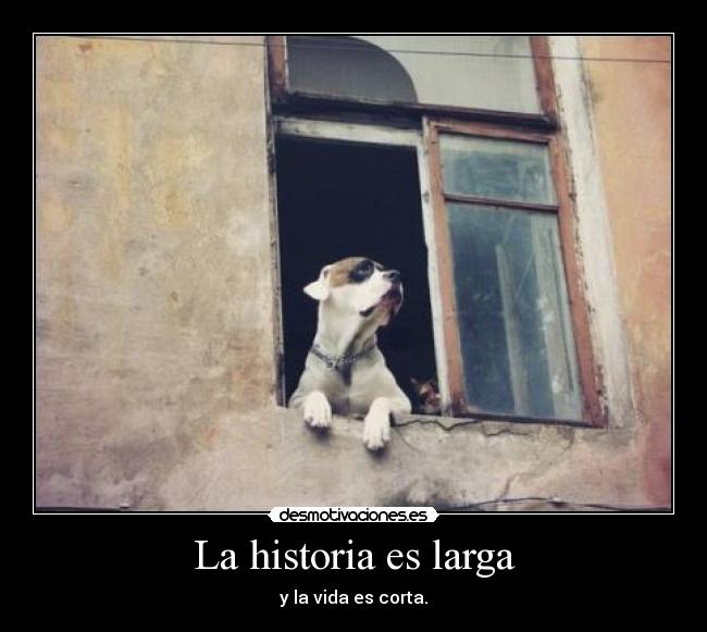 La historia es larga - 