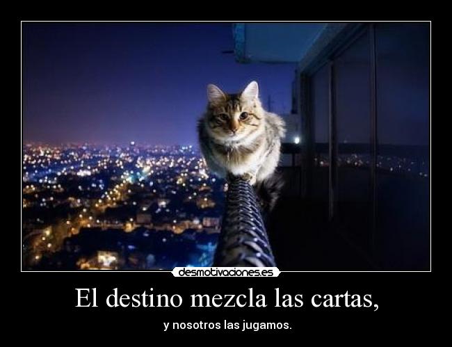 El destino mezcla las cartas, - 