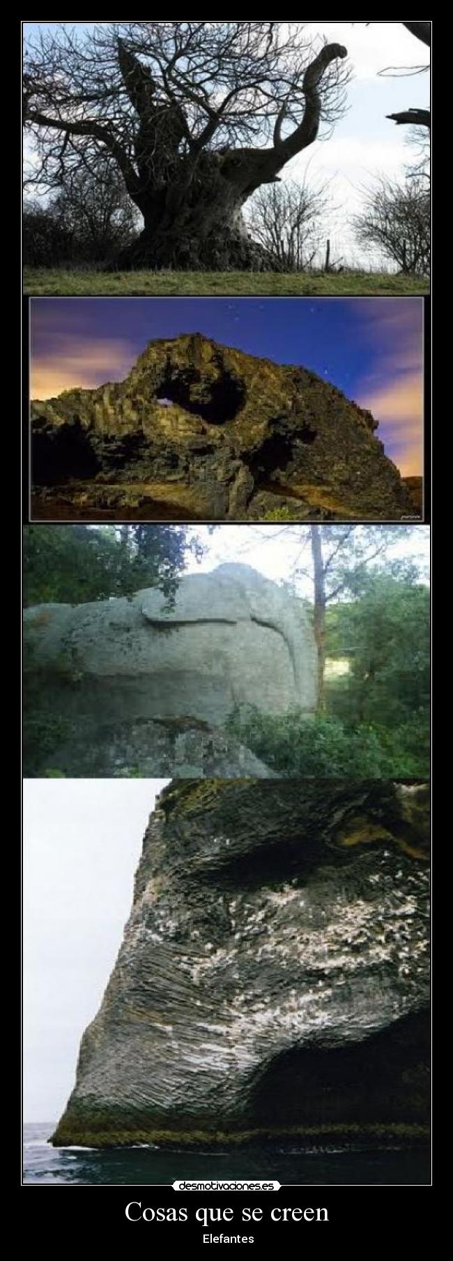 Cosas que se creen -