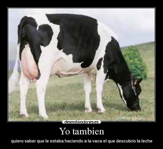 Yo tambien -