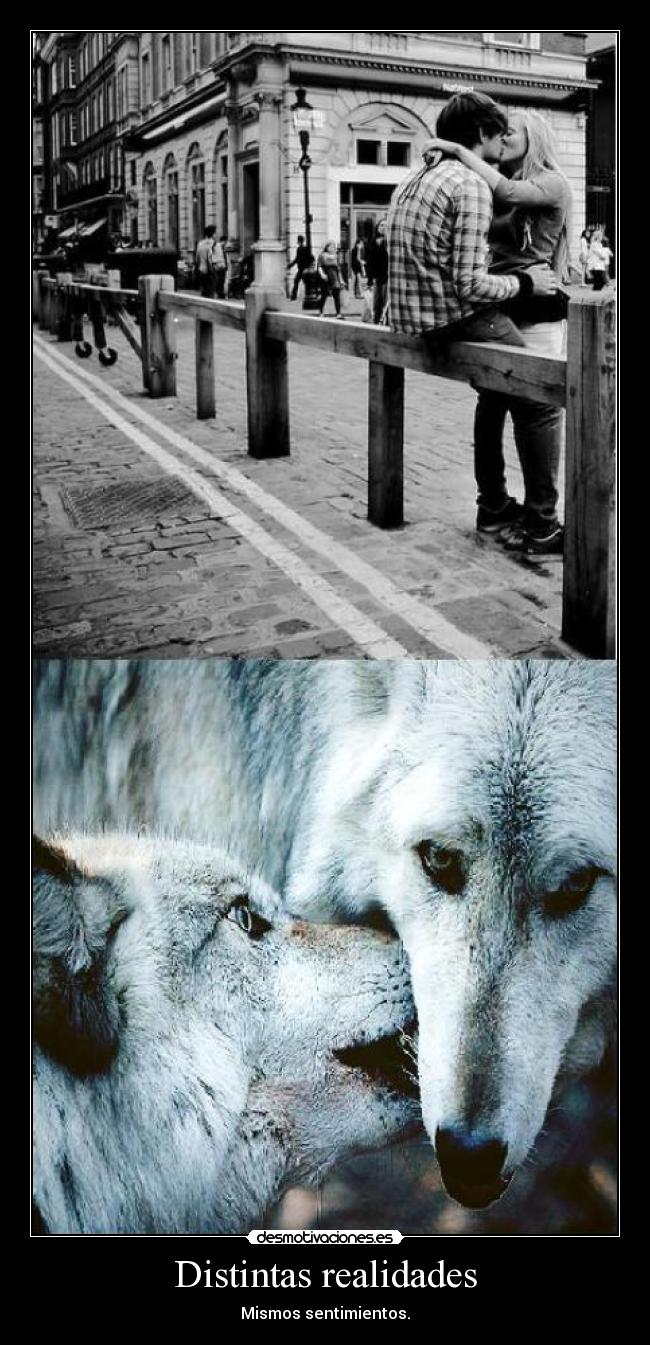 Distintas realidades - 