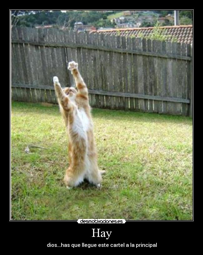 Hay - dios...has que llegue este cartel a la principal