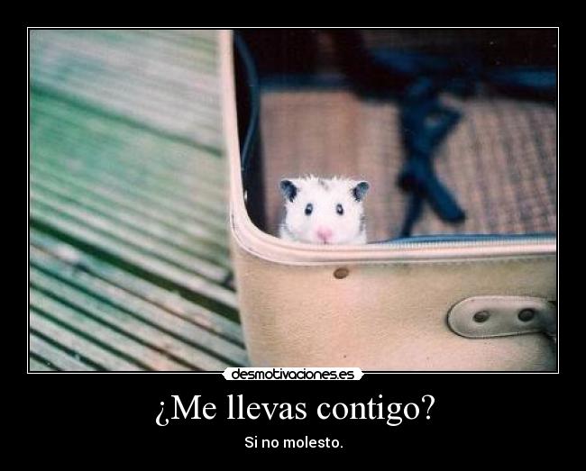 ¿Me llevas contigo? - 