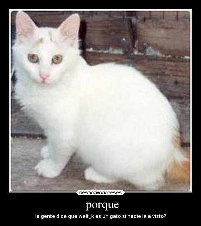  porque - 