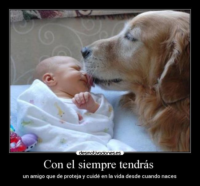 carteles con siempre tendras desmotivaciones