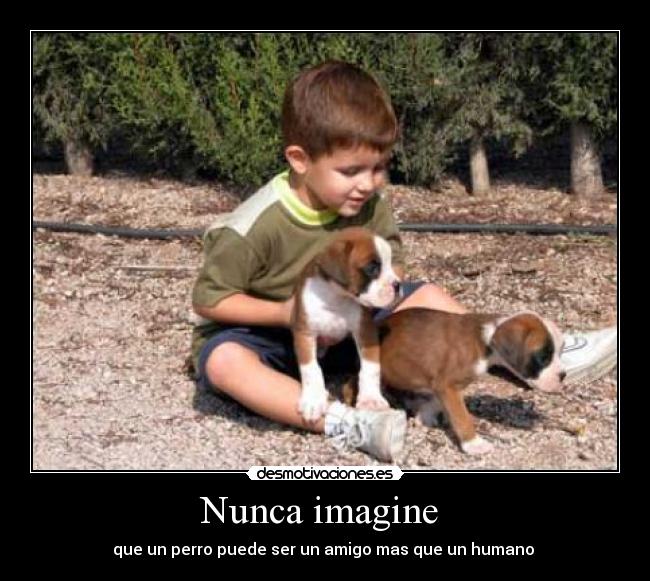 Nunca imagine  - 
