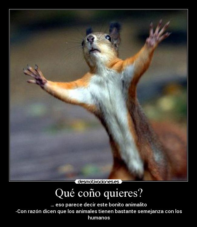 Qué coño quieres? -