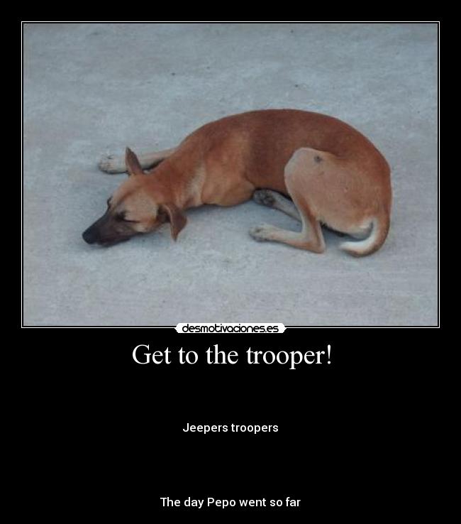Get to the trooper! - 


Jeepers troopers




The day Pepo went so far