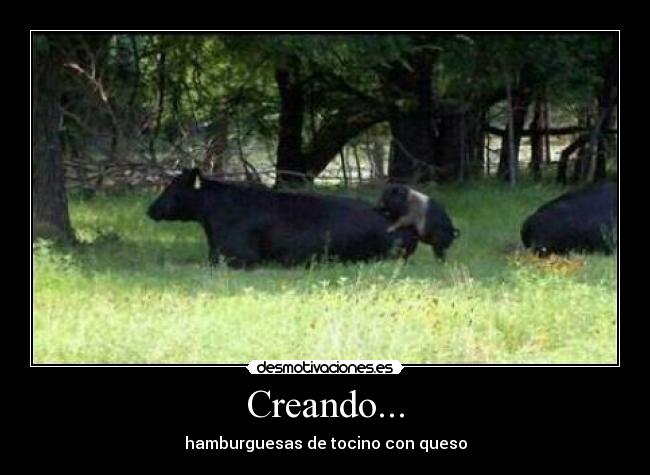 carteles hamburguesas cerdo vaca queso tocino desmotivaciones