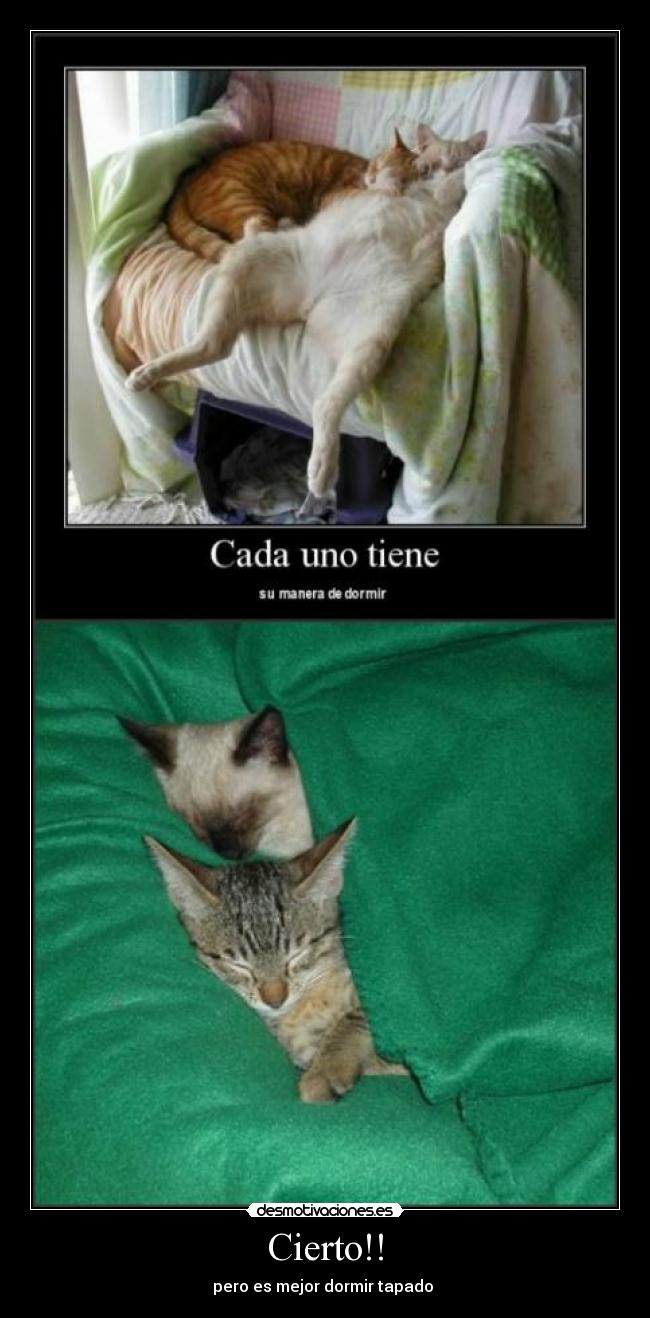 carteles anda que mola desmotivaciones