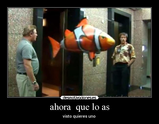 ahora que lo as - visto quieres uno