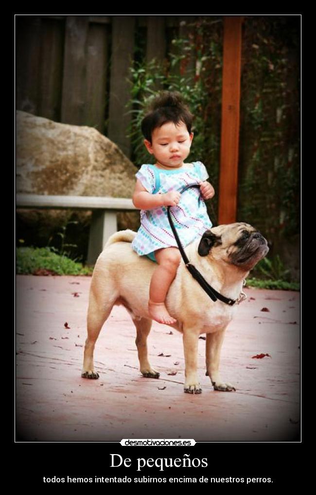 De pequeños - todos hemos intentado subirnos encima de nuestros perros.