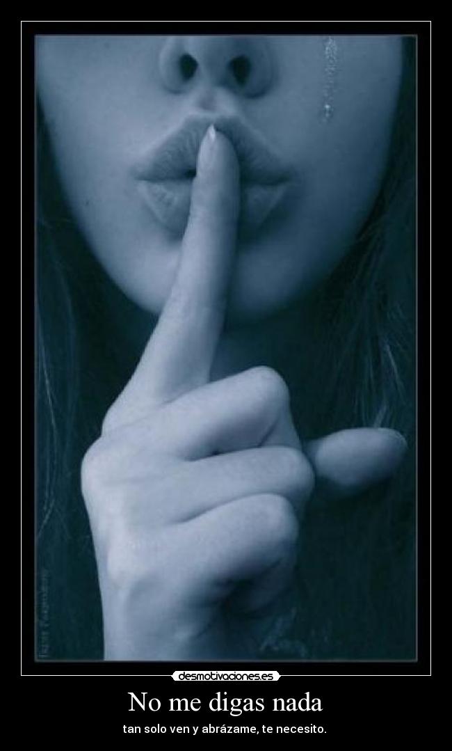 No me digas nada -