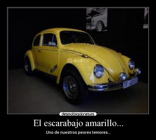 El escarabajo amarillo... - 