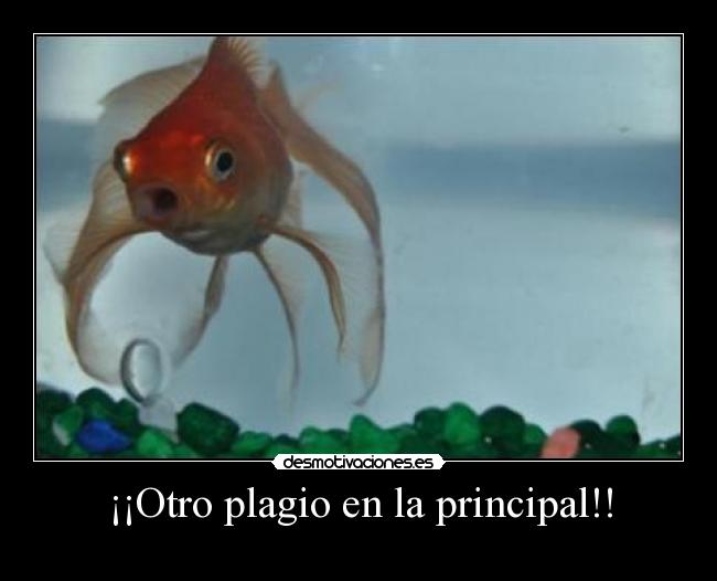 ¡¡Otro plagio en la principal!! - 