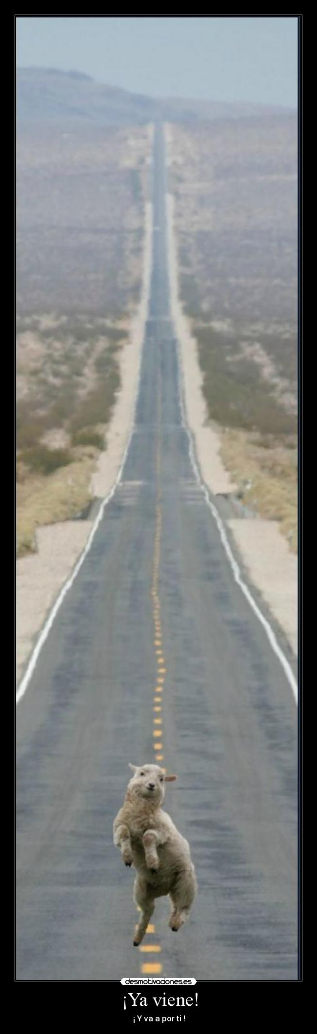 ¡Ya viene! - ¡ Y va a por ti !