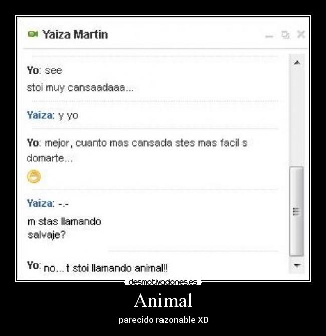 Animal -