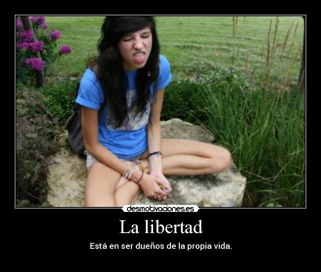 carteles libertad desmotivaciones