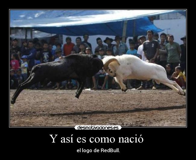 Y así es como nació  - el logo de RedBull.