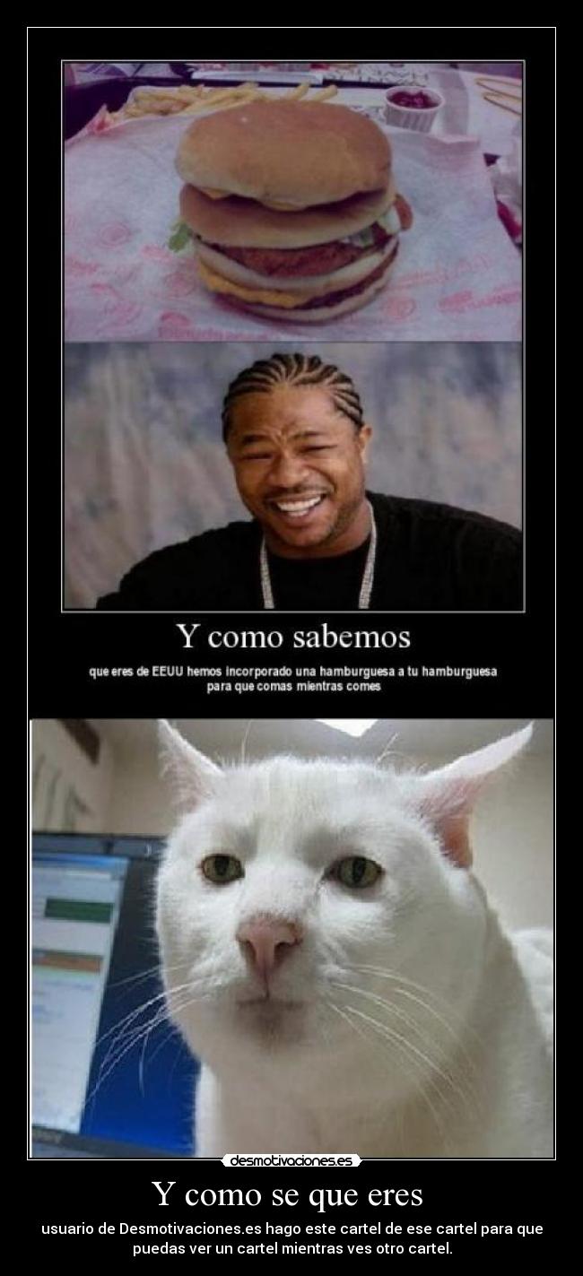 Y como se que eres  - 