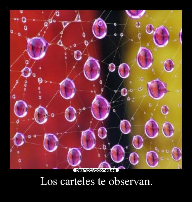 Los carteles te observan. - 