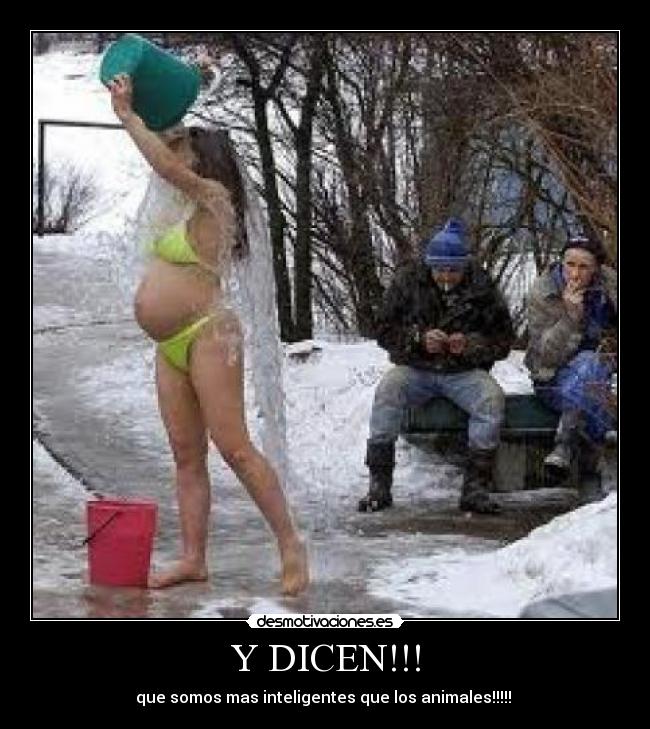 Y DICEN!!! - que somos mas inteligentes que los animales!!!!!