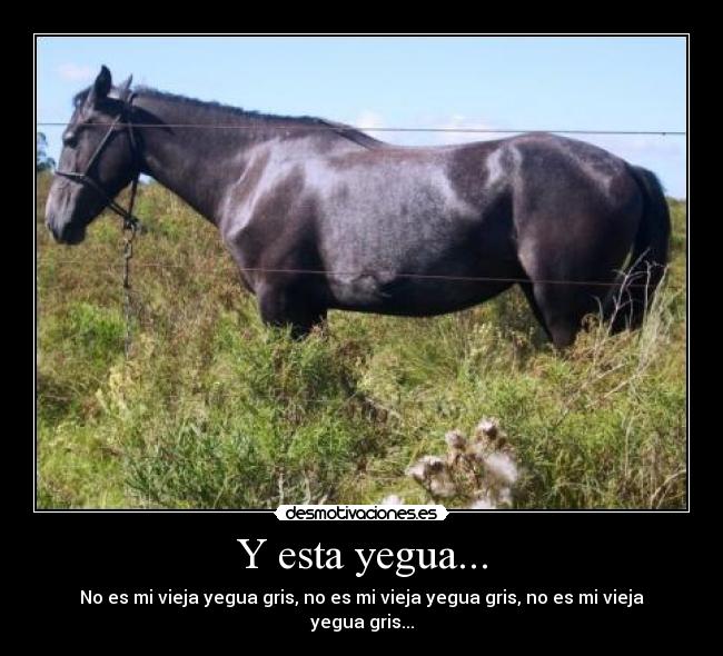 Y esta yegua... -