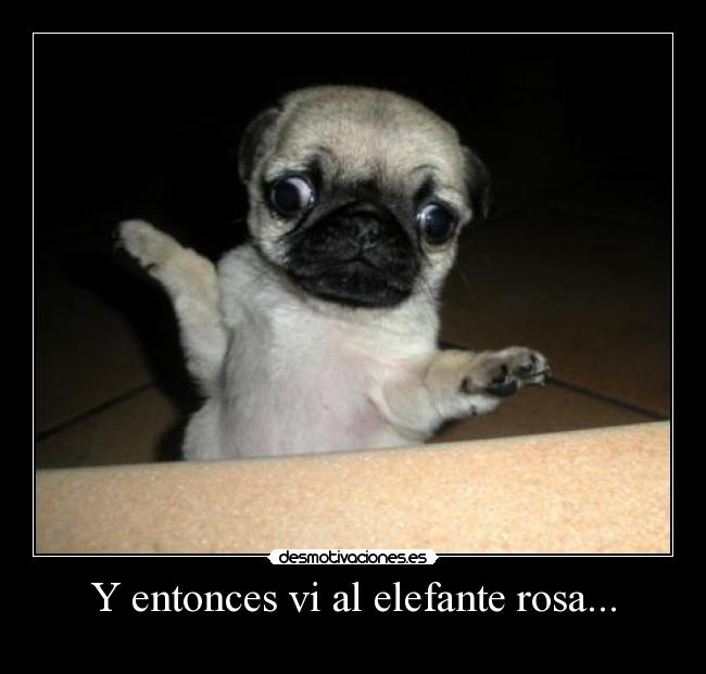 Y entonces vi al elefante rosa... - 
