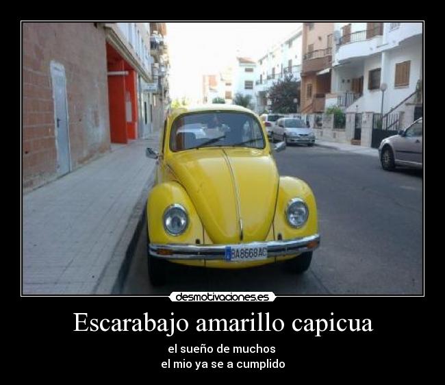 Escarabajo amarillo capicua -