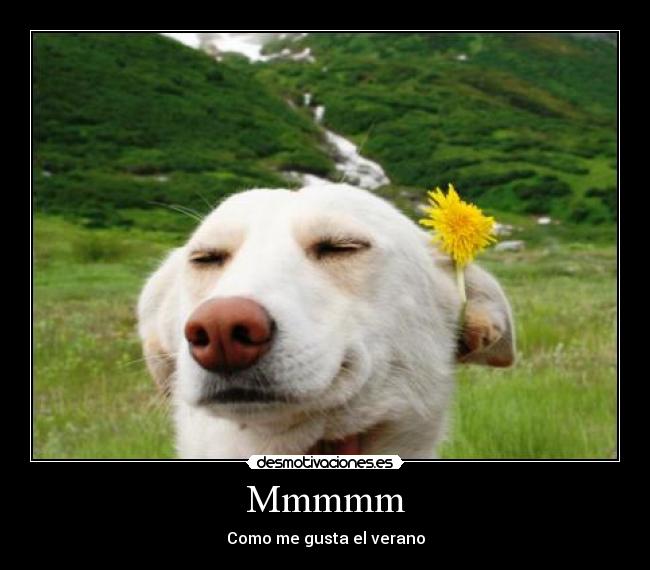 Mmmmm - Como me gusta el verano
