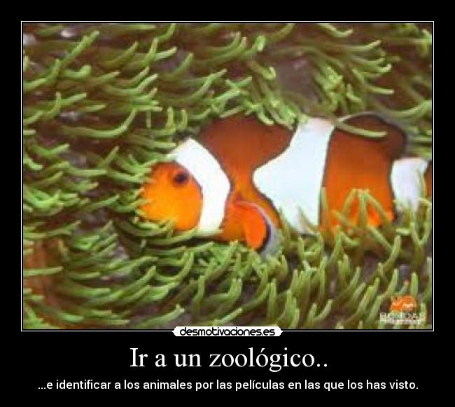 Ir a un zoológico.. - ...e identificar a los animales por las películas en las que los has visto.