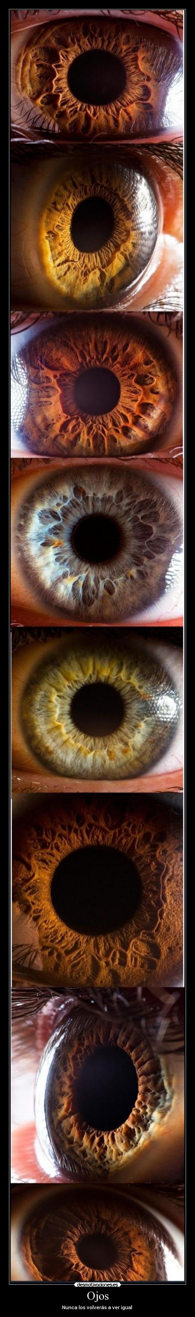 Ojos - Nunca los volverás a ver igual