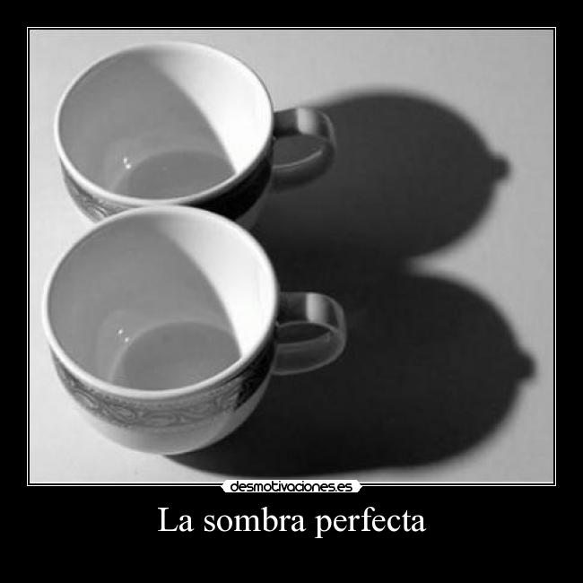 La sombra perfecta - 