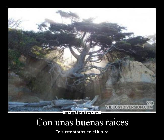 carteles cpm99 desmotivaciones