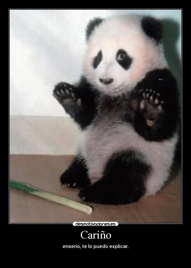 carteles panda bambu infiel panda desmotivaciones