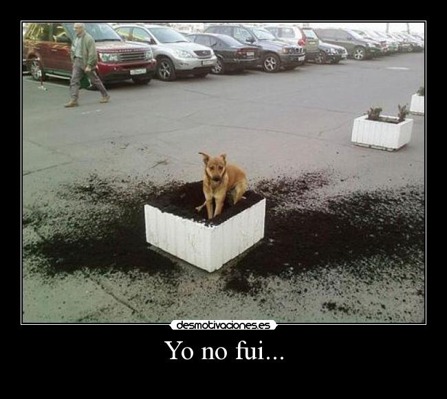 Yo no fui... -