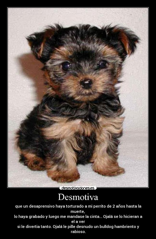 Desmotiva - que un desaprensivo haya torturado a mi perrito de 2 años hasta la muerte, 
lo haya grabado y luego me mandase la cinta... Ojalá se lo hicieran a el a ver
si le divertia tanto. Ojalá le pille desnudo un bulldog hambriento y rabioso.