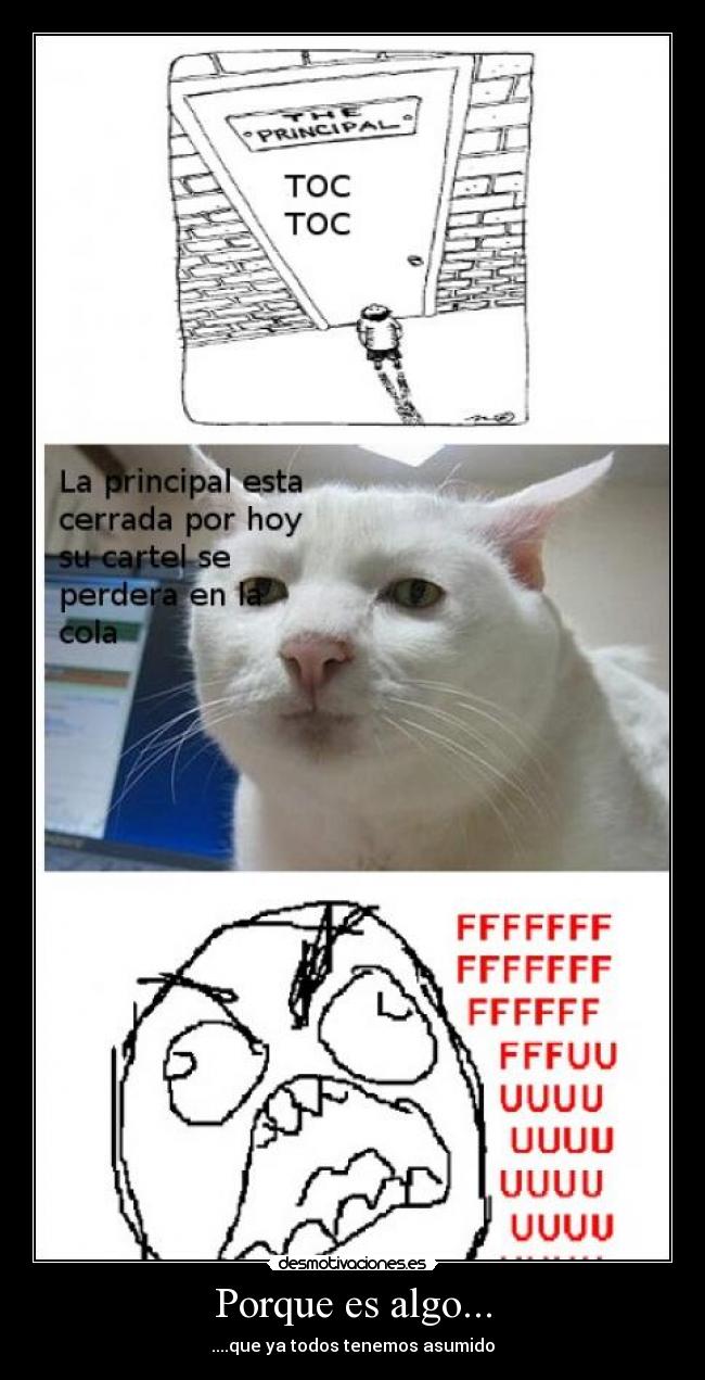 Porque es algo... - ....que ya todos tenemos asumido