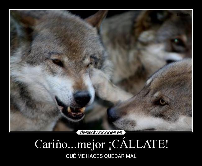 Cariño...mejor ¡CÁLLATE! - QUÉ ME HACES QUEDAR MAL