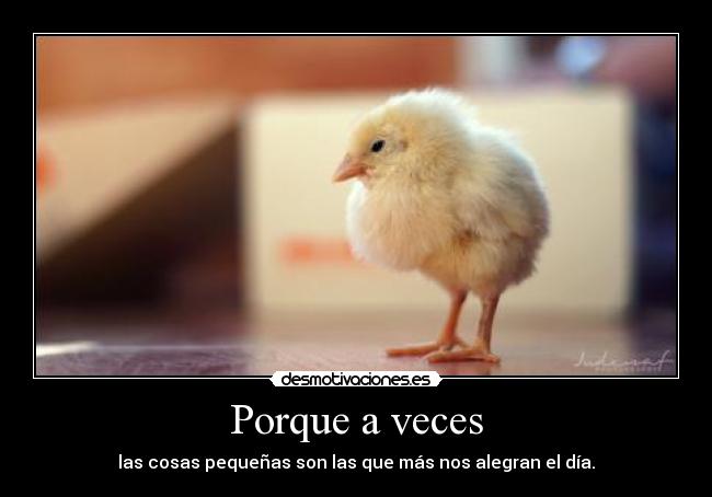 Porque a veces - las cosas pequeñas son las que más nos alegran el día.