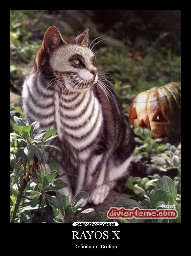 RAYOS X - Definicion : Grafica